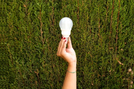 Woman hand holding a light bulb on a cypress trees background with copy space