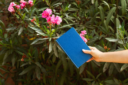 Woman hand holding a blue book in the garden with an oleander plant behind