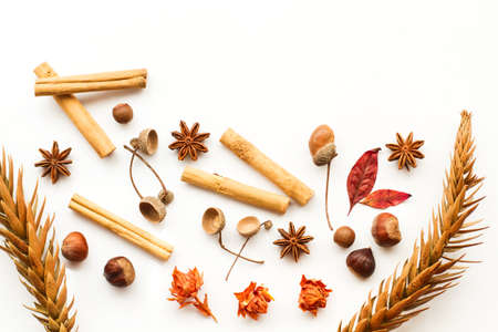 Dry leaf on a green grass backgroundの写真素材
