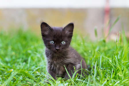 A heap of wooden numbers on a white backgroundの写真素材