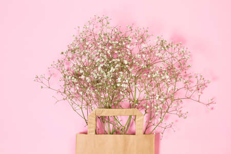 Gipsophila bunch in a paper bag on a pink backgroundの写真素材