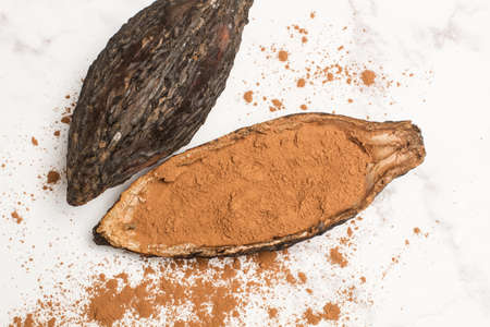 Cocoa fruit and cocoa powder on a marble backgroundの写真素材