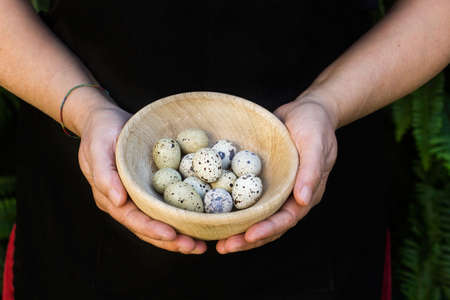 Woman hands holding a wooden bowl with quail eggs
