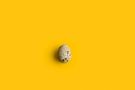 A quail egg on a yellow background with copy spaceの写真素材