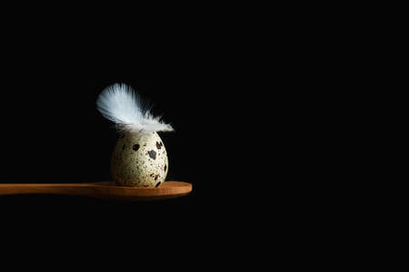 Quail egg on a wooden spoon on a black background with copy spaceの写真素材
