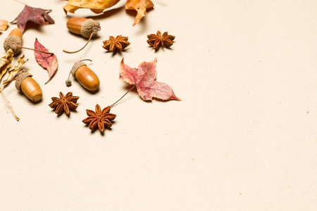 Dried acorns, star anise and dry leaves on a beige background with copy spaceの写真素材