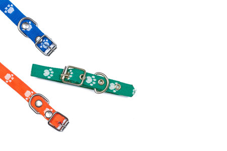 Colored dog collars on a white background with copy space