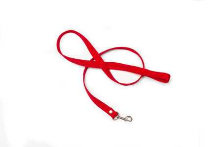 Red pet hook leash on a white background with copy spaceの写真素材