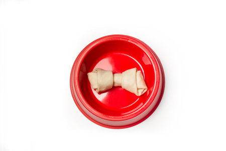 A rawhide bone in a red pet bowl on a white backgroundの写真素材