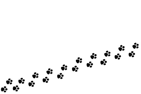 Dog tracks on a white background with copy spaceの写真素材