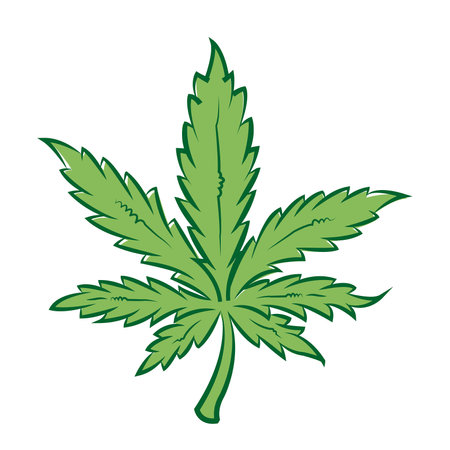 Cannabis leaf on a white background with copy spaceのイラスト素材