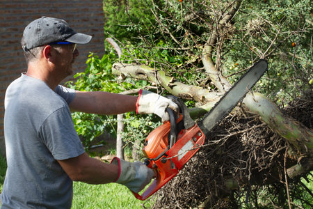 Man with a chainsaw cutting branches from a tree on a sunny day