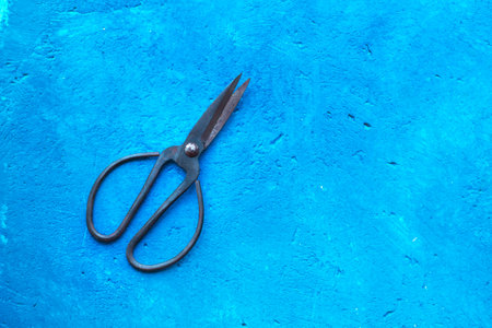 Scissors with large handles on a blue background with copy spaceの写真素材