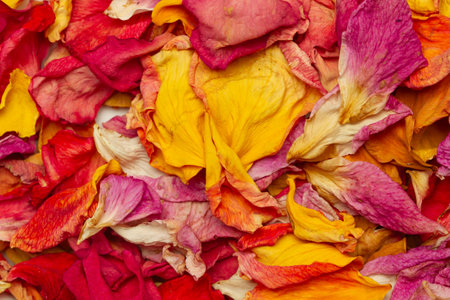 A heap of dry flowers petals in a close up viewの写真素材