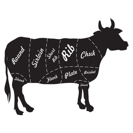 Types of beef cuts from a cow on a white backgroundのイラスト素材