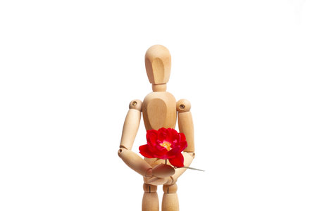 A wooden mannequin toy holding a flower on white backgroundの写真素材