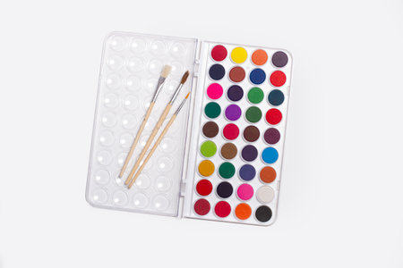 Paintbrushes and watercolor paints on a white background in a top view