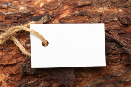 A white blank label with a string on the bark of a tree trunk in a close up viewの写真素材
