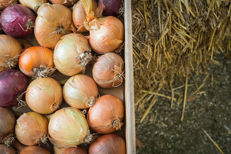 Variety of farm fresh organic onions in wooden container on natural backgroundの写真素材