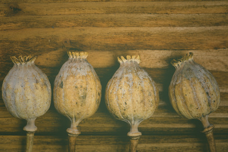 Poppy heads in vintage style on woodの写真素材