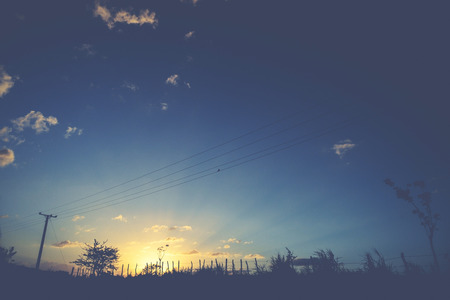 sunset behind trees and electric pole in vintage styleの写真素材