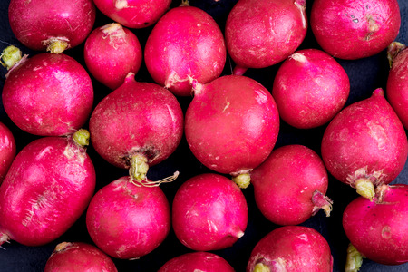 Farm fresh red radish backgroundの写真素材