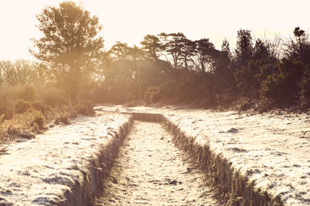 Colorful sunrise over meadow covered in frost crystals, vintage cross effectの写真素材