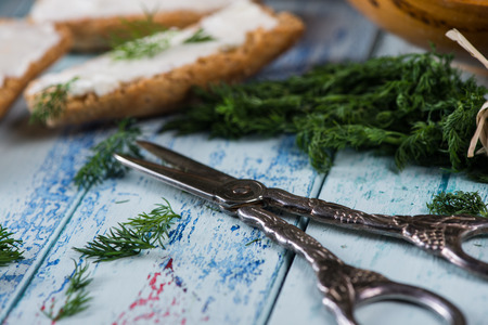 wholegrain bread with fresh dill and soft cheeseの写真素材