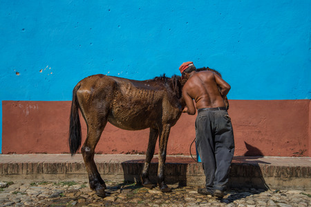 TRINIDAD, CUBA - DECEMBER 3, 2014: Man cleaning horse on street in Trinidad,Cuba. Trinidad is city pretected by UNESCO.のeditorial素材