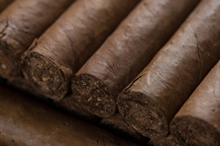 close view on cuban cigars