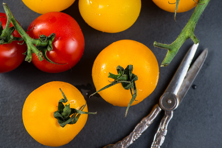 Farm fresh organic tomatoes from aboveの写真素材