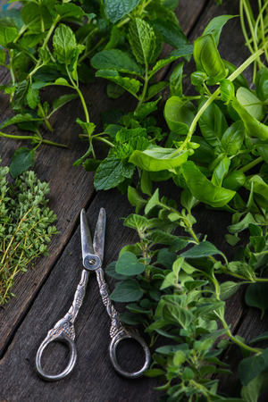 Fresh herbs cut in home garden, on wooden rustic tableの写真素材