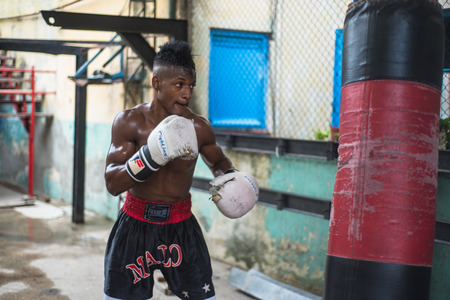 Havana, Cuba - September 22, 2015:  Young boxers train in famous boxing school of Rafael Trejo in Old Havana,Cuba. Box is Cuba national sport as well as baseball.のeditorial素材