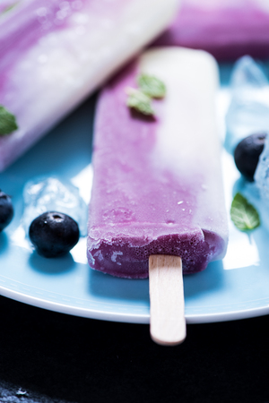 Yogurt and blueberry ice on plate, overhead viewの写真素材