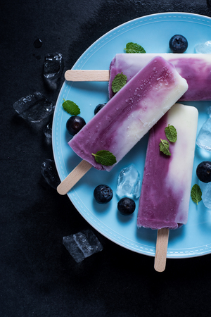 Yogurt and blueberry ice on plate, food backgroundの写真素材
