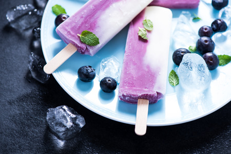Yogurt and blueberry ice on plate, overhead view