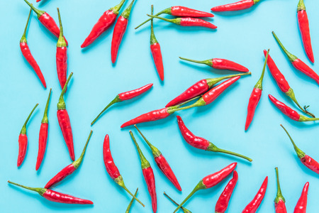 Vibrant red chili on blue background, lay flat from above