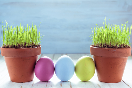 Pot with fresh grass and easter eggs painted in pastel color. Copy space for text.