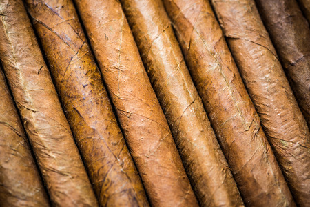 Close view on cuban hand rolled cigars. From above, background for advert or text.の写真素材
