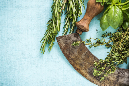 Vintage mezzaluna and fresh herbsの写真素材