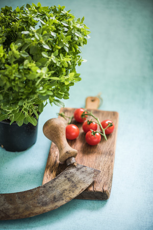 Italian simple tomatoes and fresh basil, vintage mezzalunaの写真素材