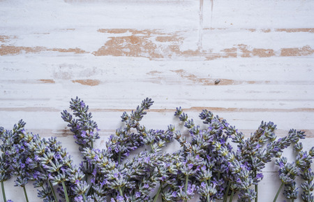fresh lavender on wooden tableの写真素材