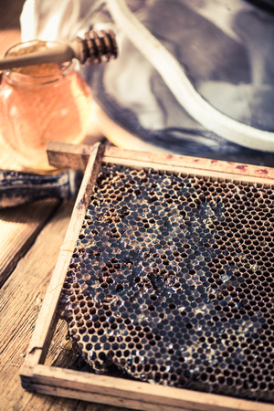 honeycomb close view with honeyの写真素材