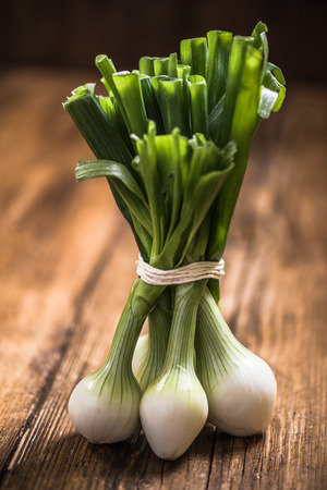 Farm fresh bunch of green onions sold at local marketの写真素材