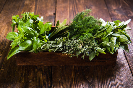 Fresh herbs in wooden rustic box, from aboveの写真素材