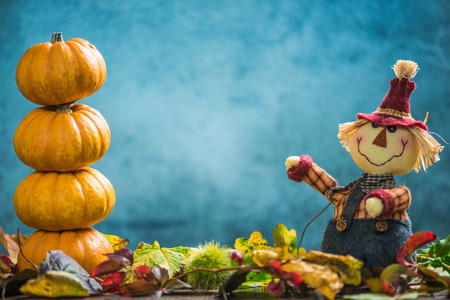 Farmer show autumnal harvest and pumpkins, copy spaceの写真素材