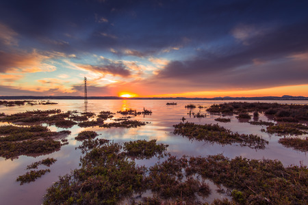 Laguna Salada in Torrevieja,Spain. Salted lake at sunset.の写真素材