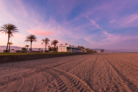 Tropical palm trees on the beach, at sunset with pastel colorsのeditorial素材