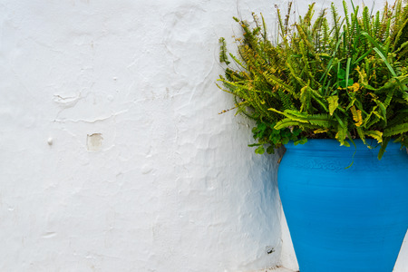 Rustic painted pot with flower on white stone washed wallの写真素材