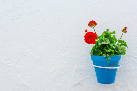 Blue pot with flower on white stone wall, mediterranean background with copy space. Travel concept.の写真素材